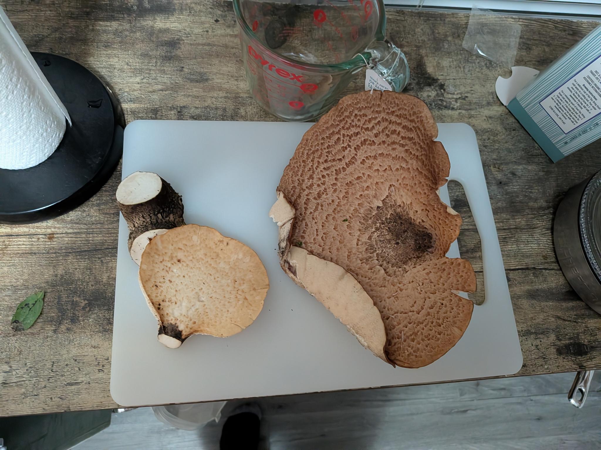 Pheasant back mushroom on a cutting board