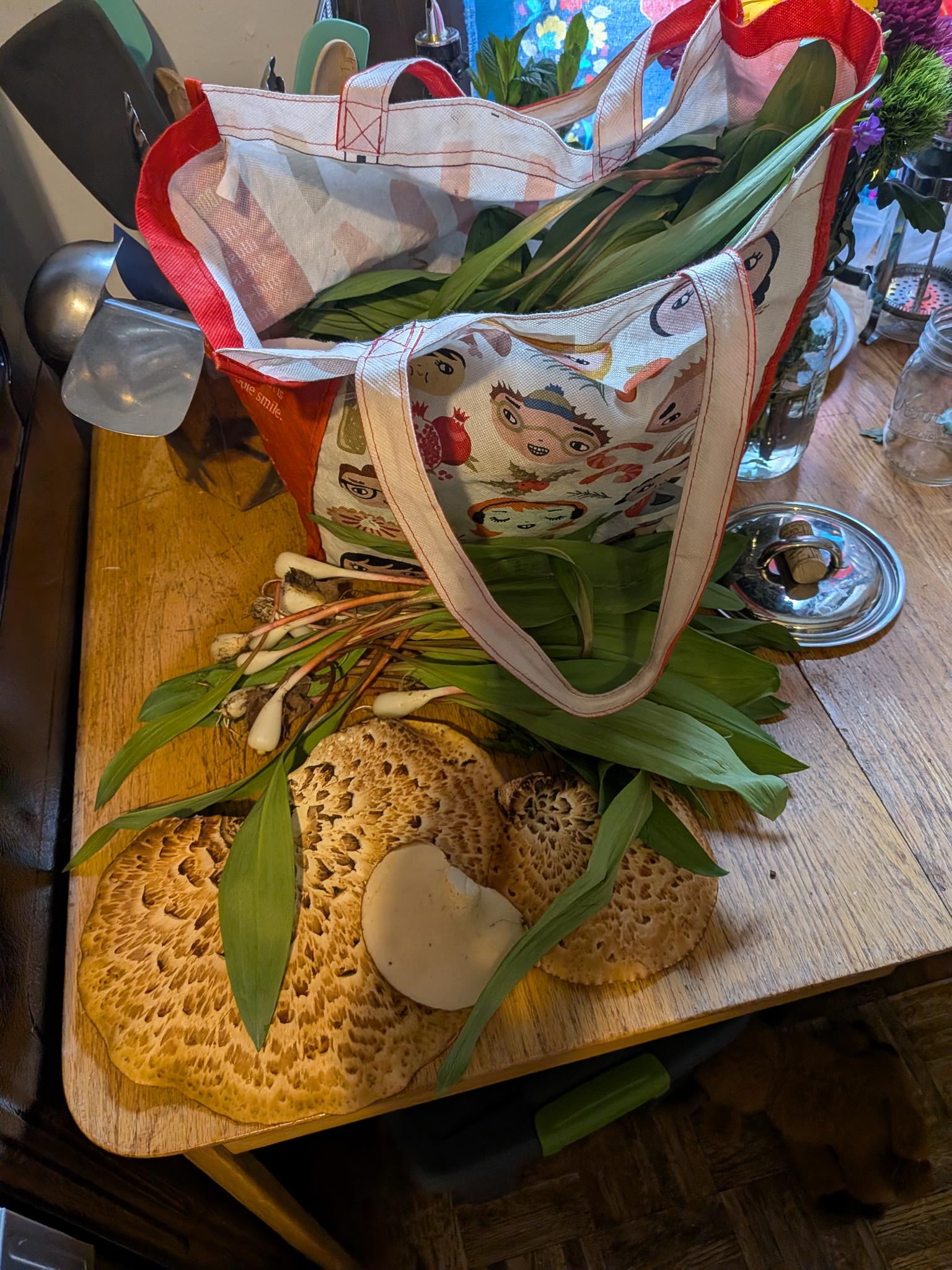 A bag of ramps with two pheasant back mushrooms on a cutting board